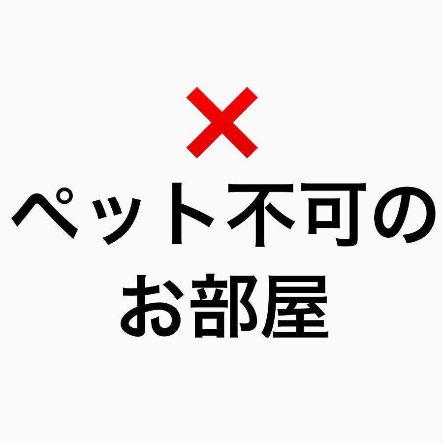 オーシャンリゾートshimaoドリームbeach Camping